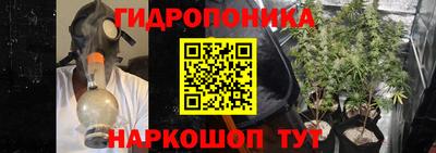 прущие крисы Краснокаменск