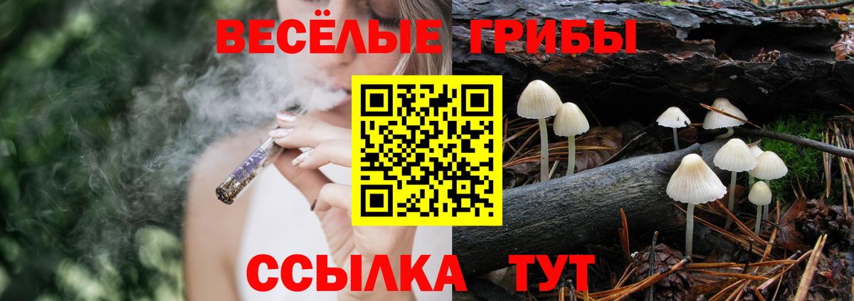 Галлюциногенные грибы Cubensis Чебоксары