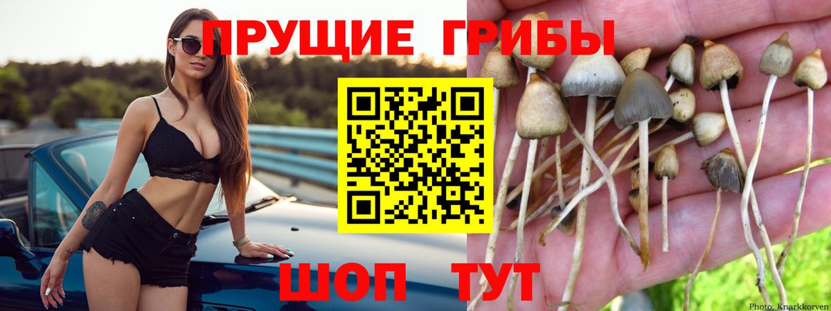 Галлюциногенные грибы Cubensis  Вход с VPN  Чебоксары 
